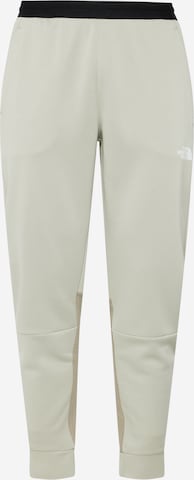 THE NORTH FACE Vabaajapüksid, värv hall: eest vaates