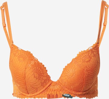 ETAM T-shirt Podprsenka 'SUNFLOWER' – oranžová: přední strana