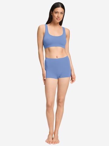 Hanro Bralette Bra 'Touch Feeling' in Blue
