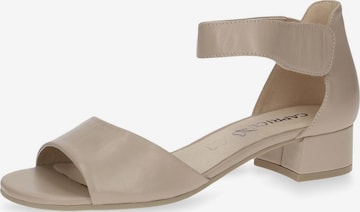 CAPRICE Sandals in Beige: front