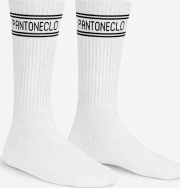 Chaussettes 'Pantoneclo Men’s Socks' PANTONECLO en blanc : devant