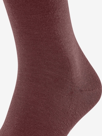 FALKE Knee High Socks 'Airport' in Red: front