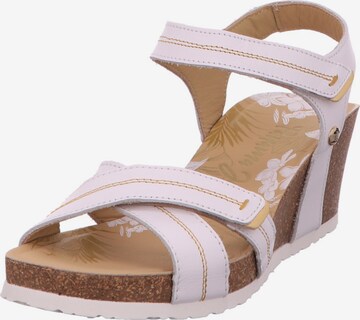 PANAMA JACK Sandals 'Vieri' in Pink: front