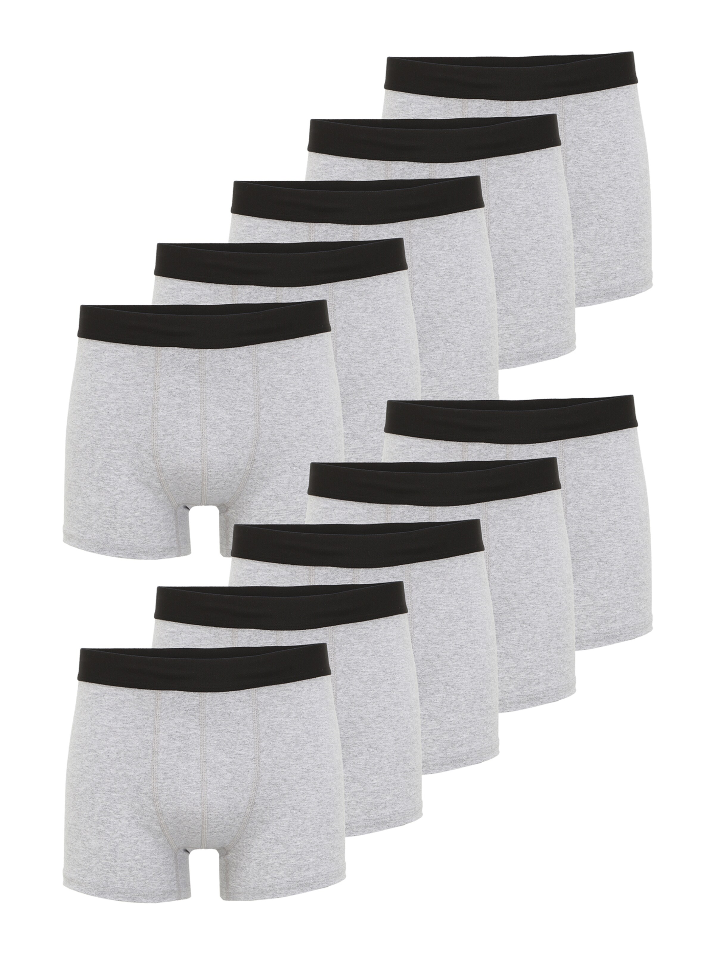 Albert Schäfer Boxer shorts in Grey: front