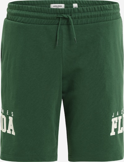 Jack & Jones Plus Pantalón 'CORY' en verde oscuro / blanco, Vista del producto