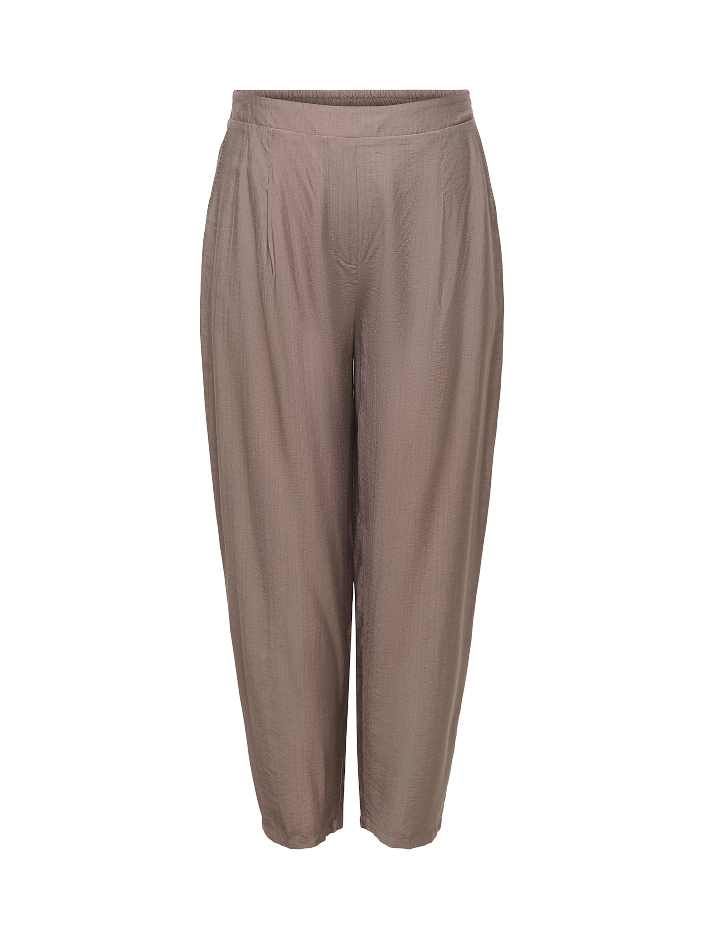 ONLY Carmakoma Pleat-Front Pants 'CARJoanna' in Brown: front