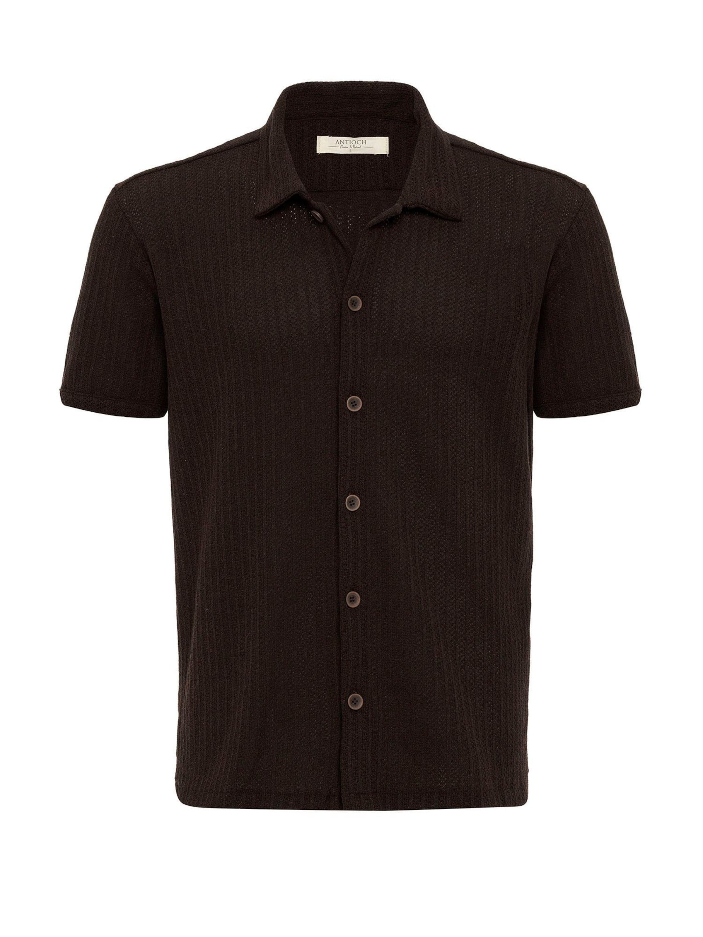 AntiochMajica - smeđa boja: prednji dio