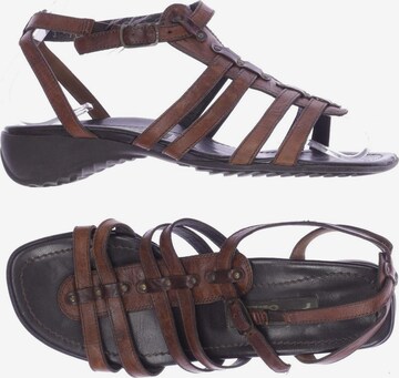Paul Green Sandals & High-Heeled Sandals in 35,5 in Brown: front