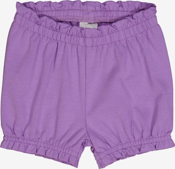 Fred's World by GREEN COTTON Regular Stoffshorts '2er-Pack' in Lila