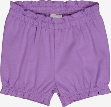 Fred's World by GREEN COTTON Regular Pants '2er-Pack' in Purple