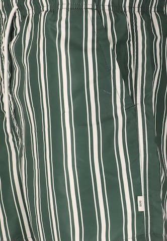 NOU Swimming shorts 'Leandro' in Green