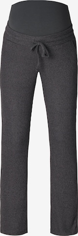 Noppies Regular Pants 'Parks' in Grey: front