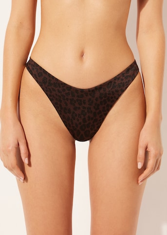 CALZEDONIA Bikini Bottoms in Brown