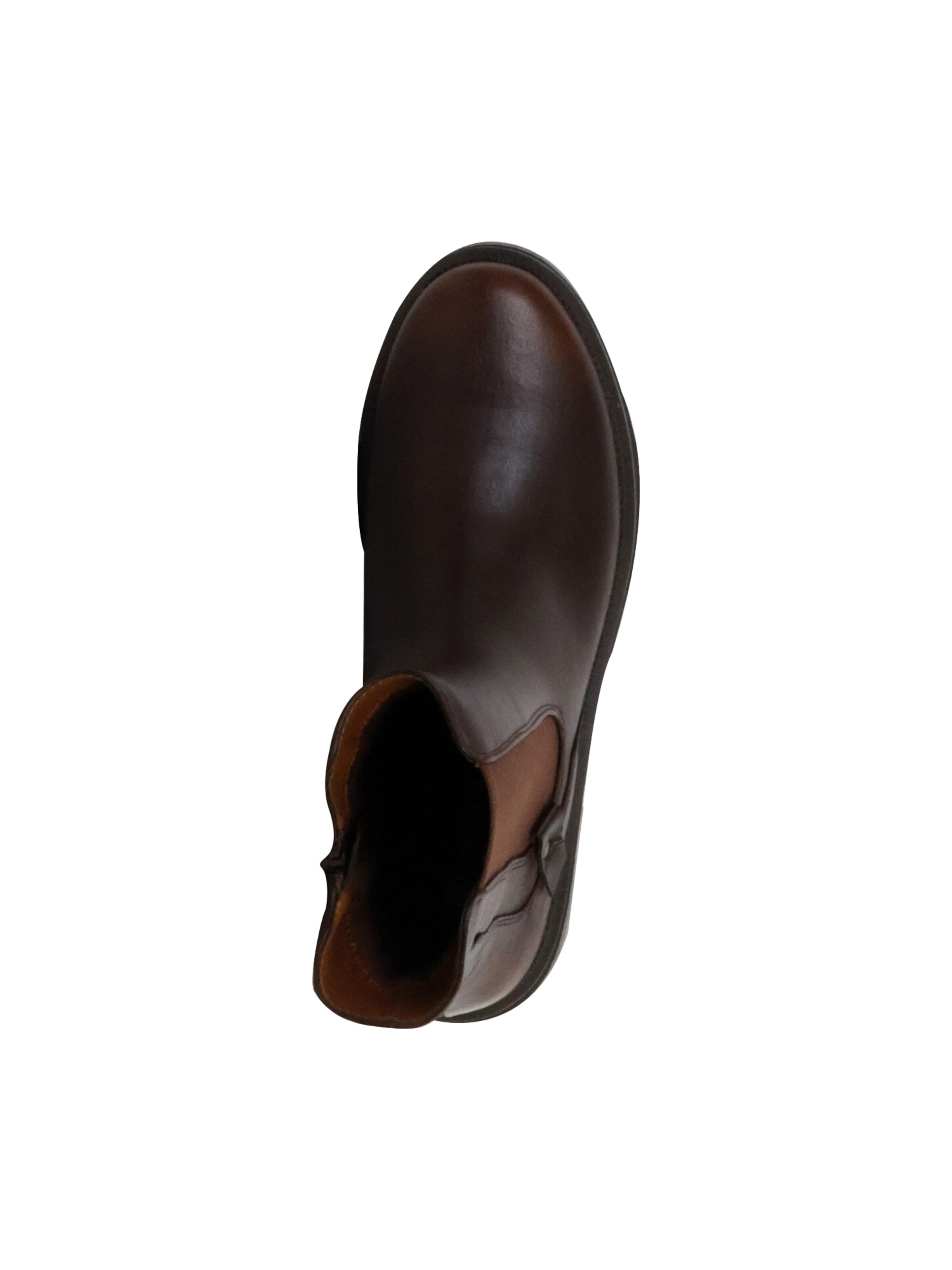 The Divine Factory Ankle Boots‌‌‌‌‌‌‌‌ in Braun