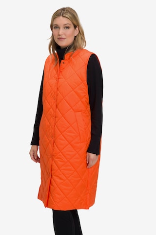 Ulla Popken Vest in Orange: front