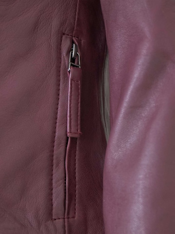 Jilani Between-Season Jacket 'Alya' in Purple