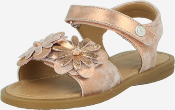 Sandalo 'GYANNINA' di NATURINO in oro: frontale