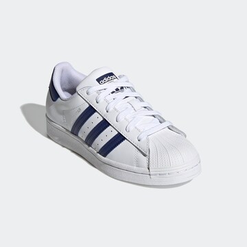 Sneaker 'Superstar' de la ADIDAS ORIGINALS pe alb