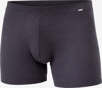 Boxers Blackspade en gris : devant