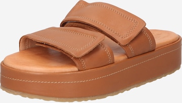 Apple of Eden Mules 'Dayana' in Brown: front