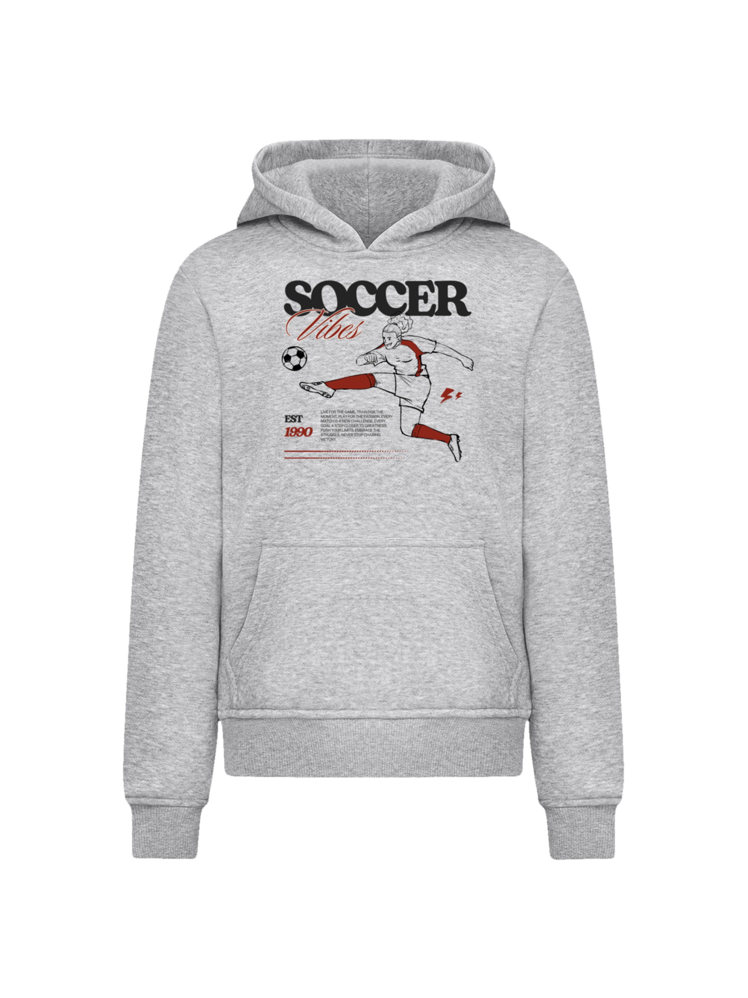 F4NT4STIC Sweatshirt 'Soccer Vibes Sport Fan' in Grau: Vorderseite