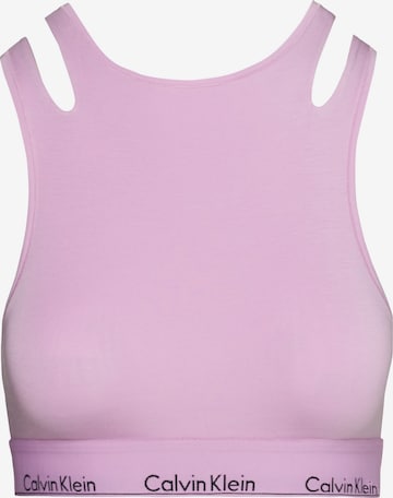 Calvin Klein Underwear Bra in Purple: front