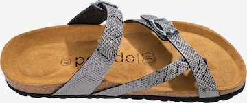 Palado Mules in Grey