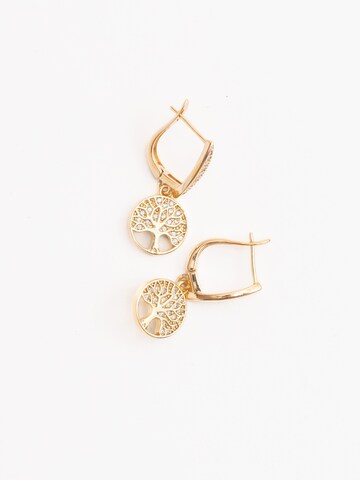 Secret Stones Earrings 'Life Power' in Gold