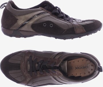 GEOX Sneakers & Trainers in 37 in Brown: front
