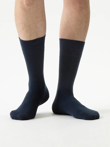 Von Jungfeld Socks 'Herbstfarben' in Blue