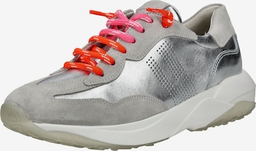 Paul Green Sneakers in Grey ABOUT YOU