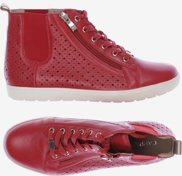 CAPRICE Sneakers & Trainers in 39,5 in Red: front