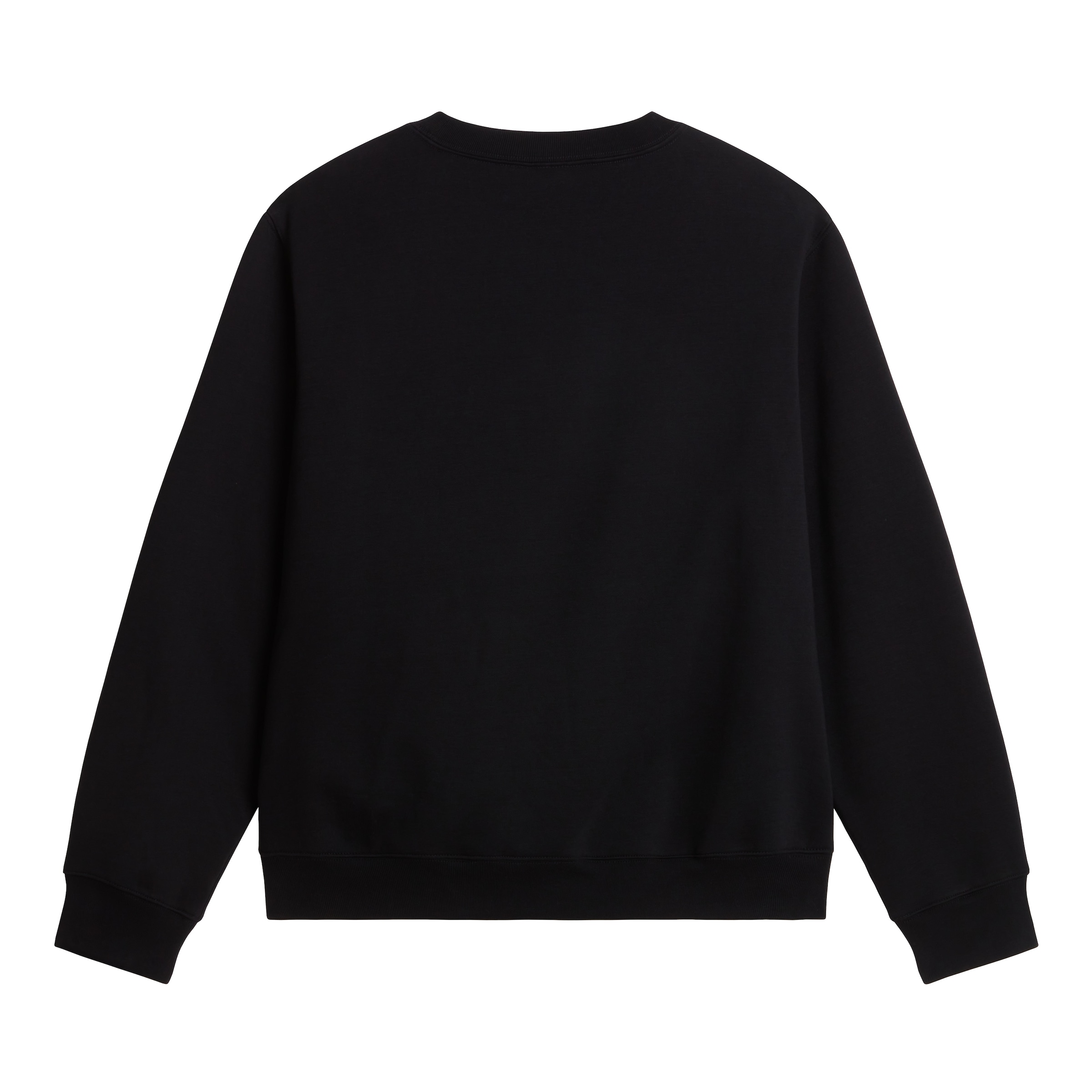 THE NORTH FACE Sweatshirt in Black