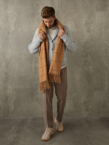ABOUT YOU x Kevin Trapp Scarf 'Vincent' in Brown