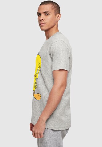 Maglietta 'Looney Tunes - Angry Tweety' di ABSOLUTE CULT in grigio