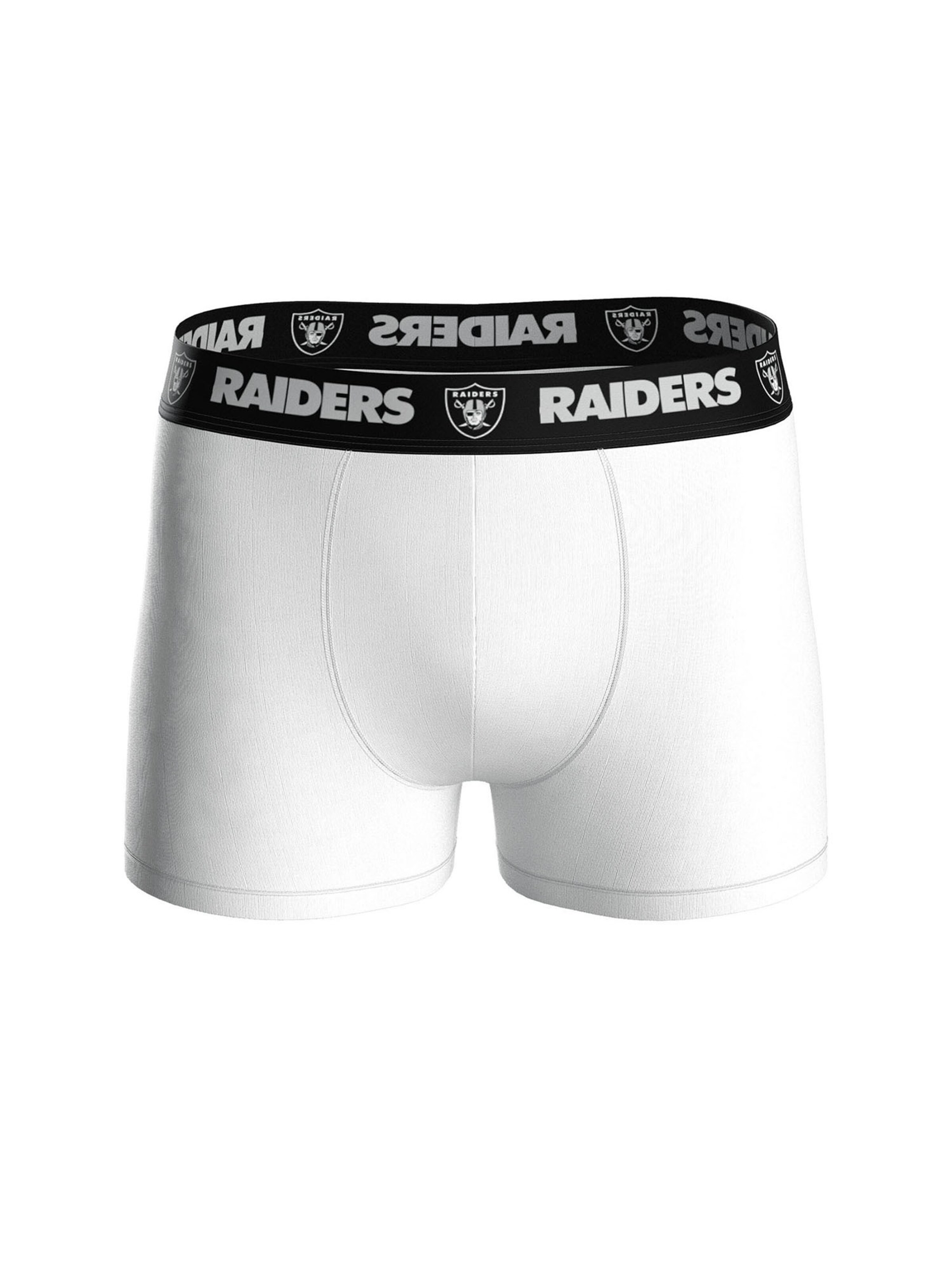 Huddle Boxer shorts 'Las Vegas Raiders' in Grey