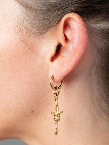YParis Earrings 'Boucle Berlin G' in Gold