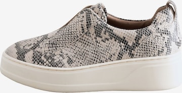 Next Slip on -tennarit värissä monivärinen: etupuoli