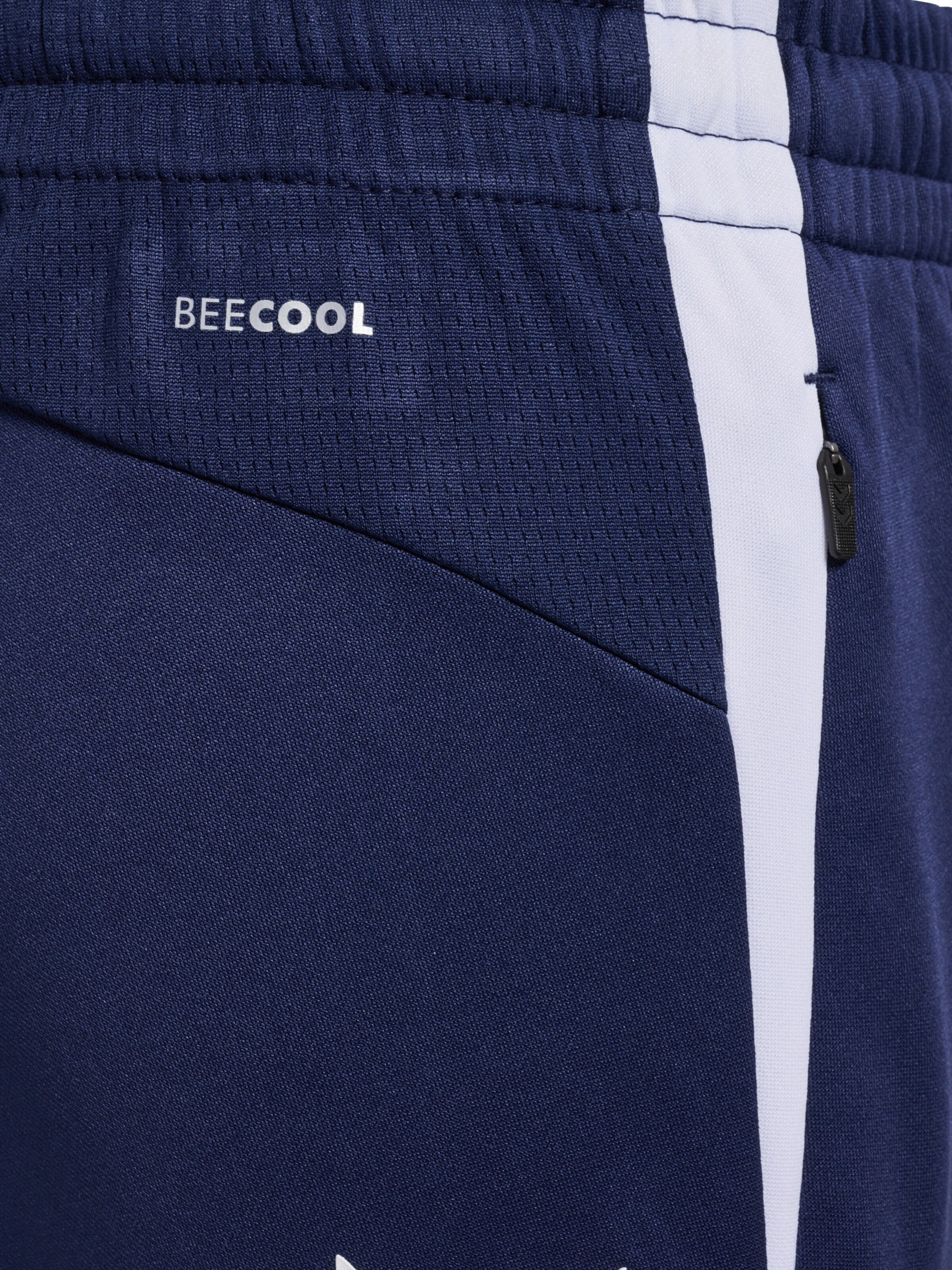 Hummel Regular Sportbroek 'Lead 2.0' in Blauw