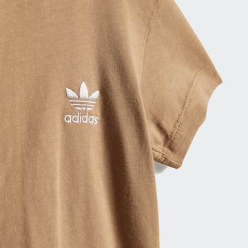 Set ADIDAS ORIGINALS en marron