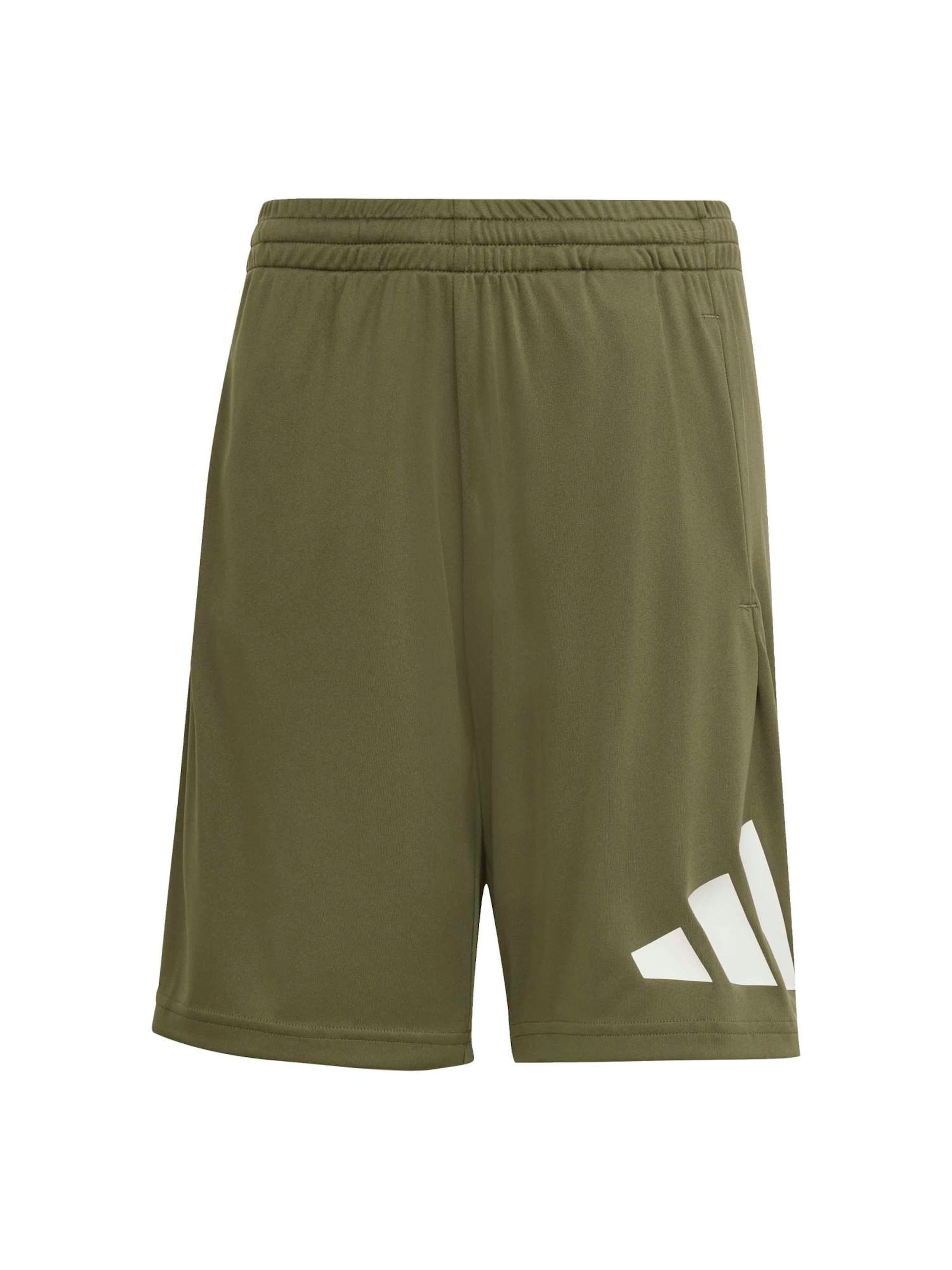 zaļš ADIDAS SPORTSWEAR Standarta Sporta bikses 'TR-ES': no priekšpuses