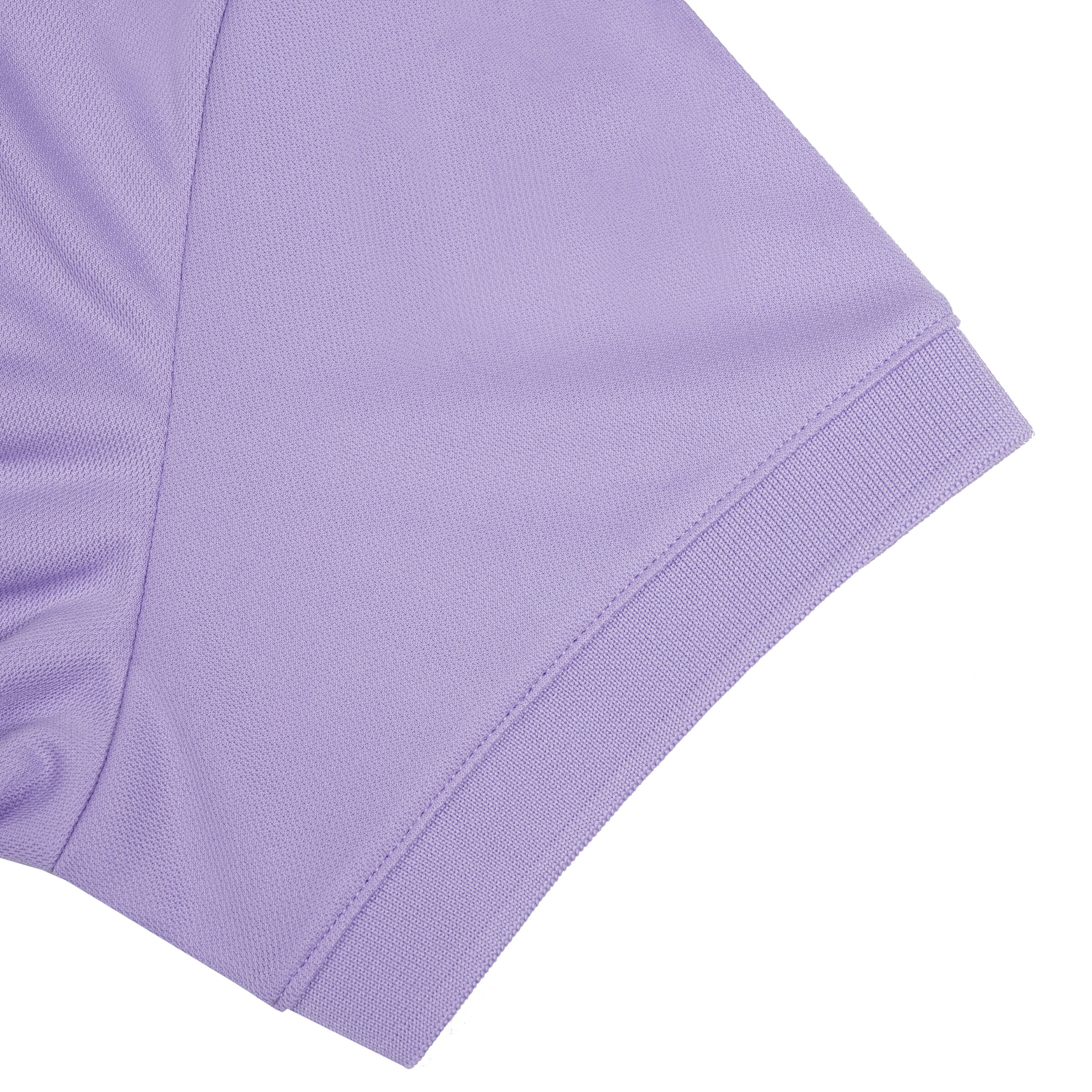 ICEPEAK Funktionsshirt 'Bayard' in Lila