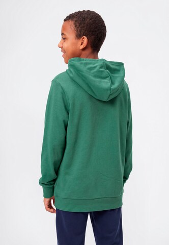 Champion Authentic Athletic Apparel Sweatshirt in Green