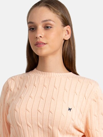 Williot Trui in Beige