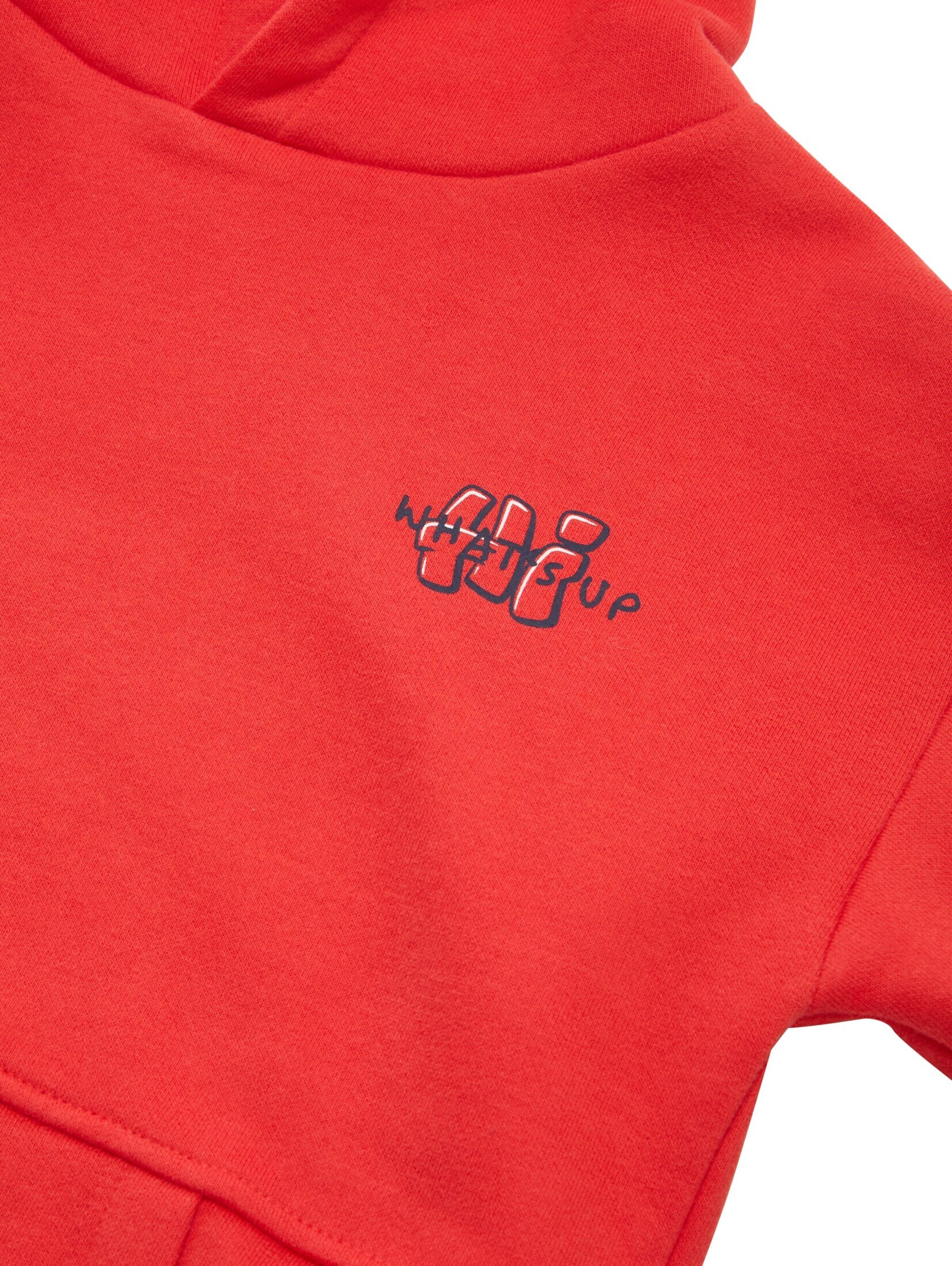 TOM TAILOR Sweatshirt in Rood