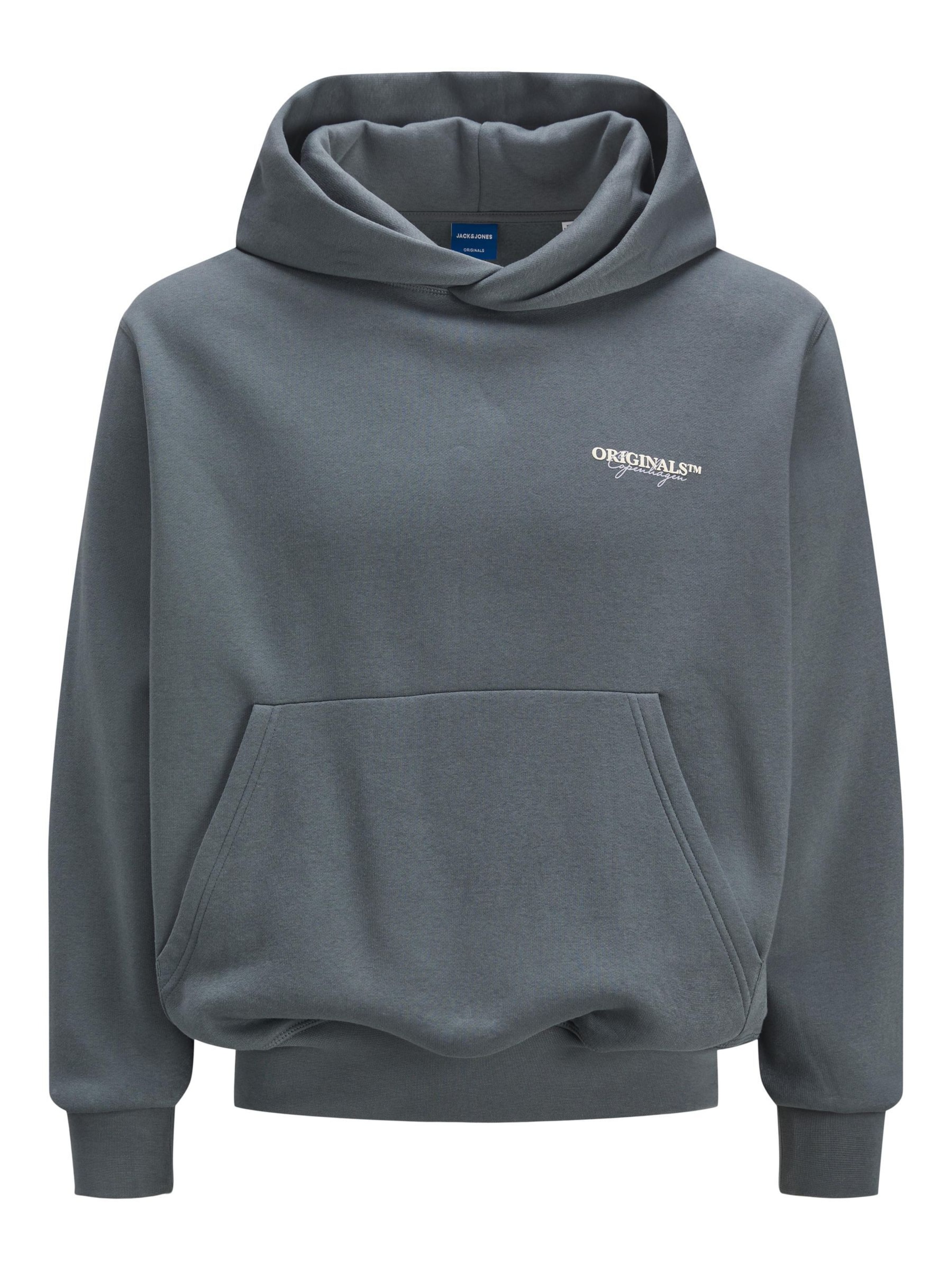 Felpa di Jack & Jones Plus in grigio: frontale