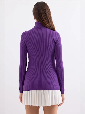 Bigdart Sweater in Purple