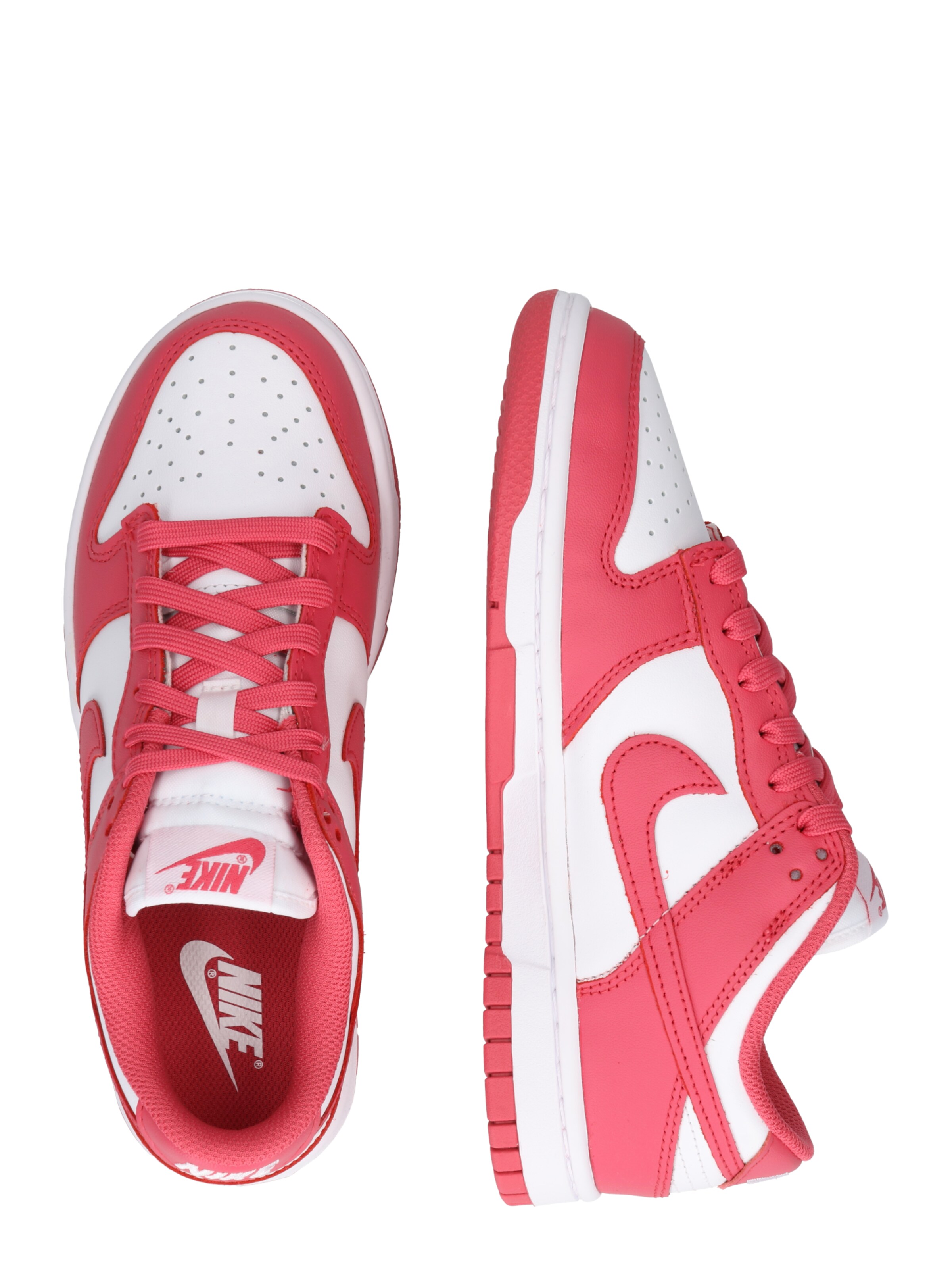 rožinė Nike Sportswear Sportbačiai be auliuko 'DUNK LOW'