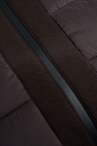 Salsa Jeans Winterjas in Bruin
