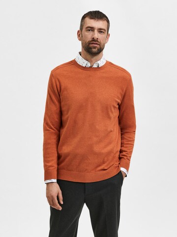 SELECTED HOMME - Ajuste regular Jersey 'Berg' en marrón: frente